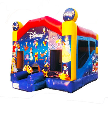 Disneyland Inflatable Jumping Castle dengan Slide untuk Anak-anak