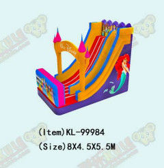 Anak-anak Taman Hiburan Inflatable Desneyland Putri Slide Untuk Sewa