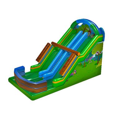 Hutan Tema Inflatable Double Lane Water Slide Untuk Sewa