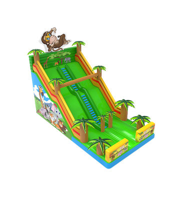 Hewan Hutan Slide Monyet Terduga Dengan Pohon Sawit