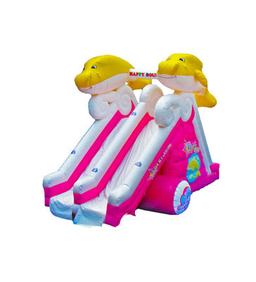 Dolphin Double Lane Inflatable Slide Untuk Anak-anak Taman Hiburan