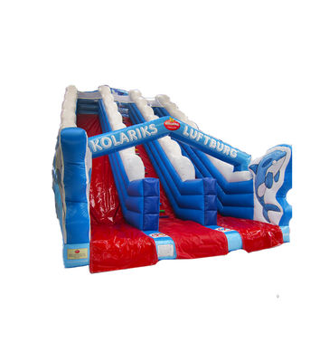 Taman bermain anak-anak Dolphin Double Lane Slip And Slide Untuk Sewa