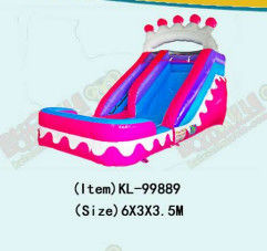 Pink Crown Inflatable Wet Dry Inflatable Slide Dengan Kolam Renang