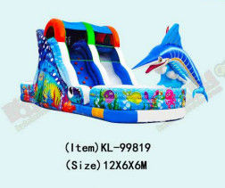 Taman Hiburan Samudra Dan Pesta Taman Backyard Slide Inflatable