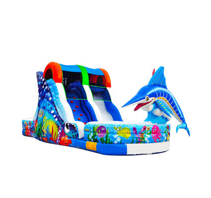 Taman Hiburan Samudra Dan Pesta Taman Backyard Slide Inflatable