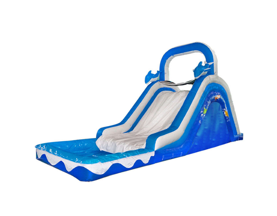 Slide Inflatable yang Berwarna-warni dan Bersemangat untuk Anak-anak Pengalaman Slide yang Menyenangkan