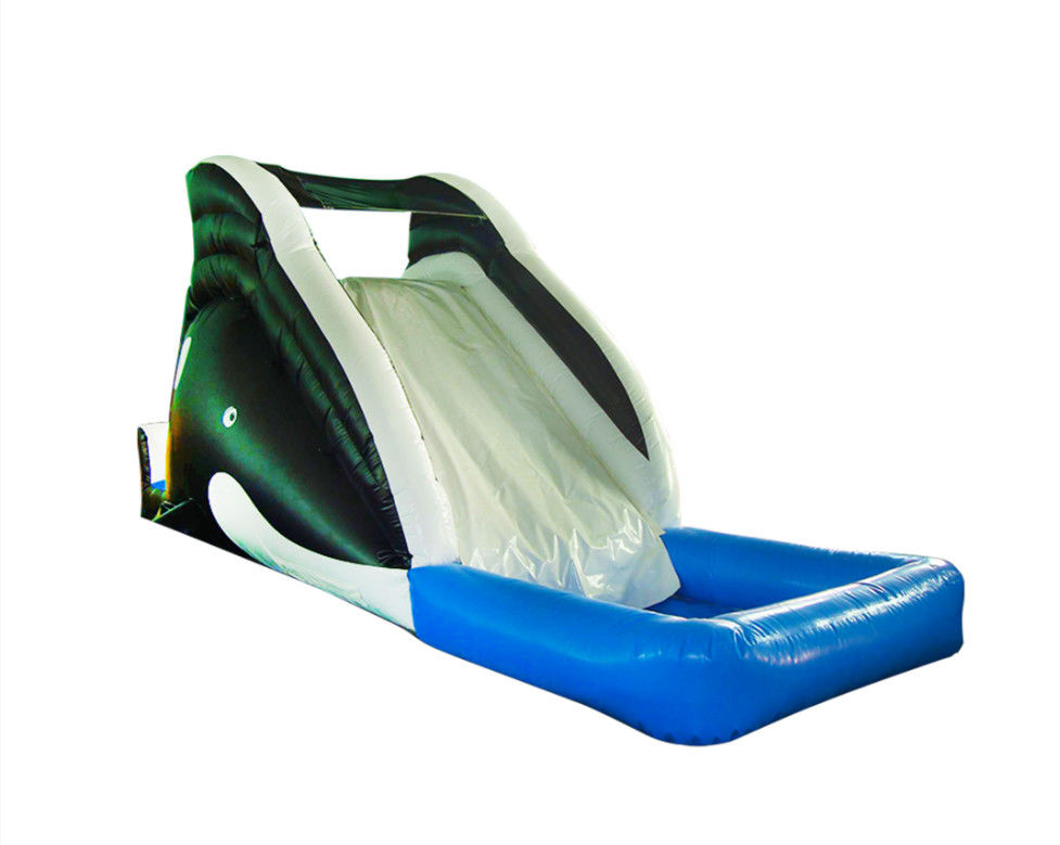Slide Inflatable yang Berwarna-warni dan Bersemangat untuk Anak-anak Pengalaman Slide yang Menyenangkan